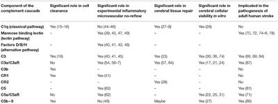 Therapeutic Modulation of the Complement Cascade in Stroke